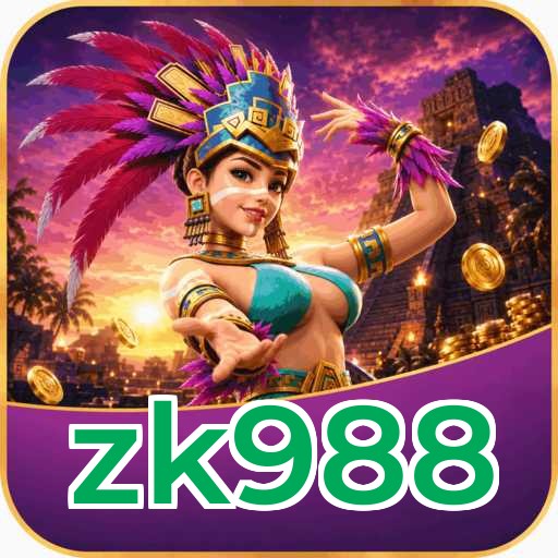 Audit profile zk988
